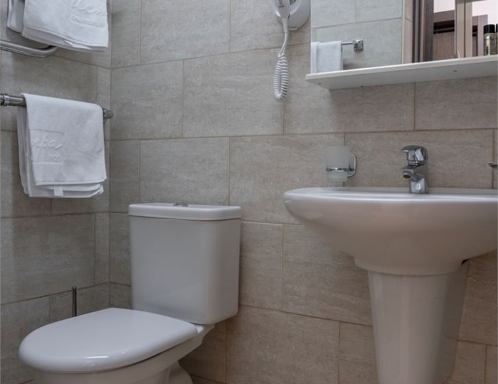 Стандарт 2-местный (корп.1) - Санаторий Istra Resort / Истра Резорт